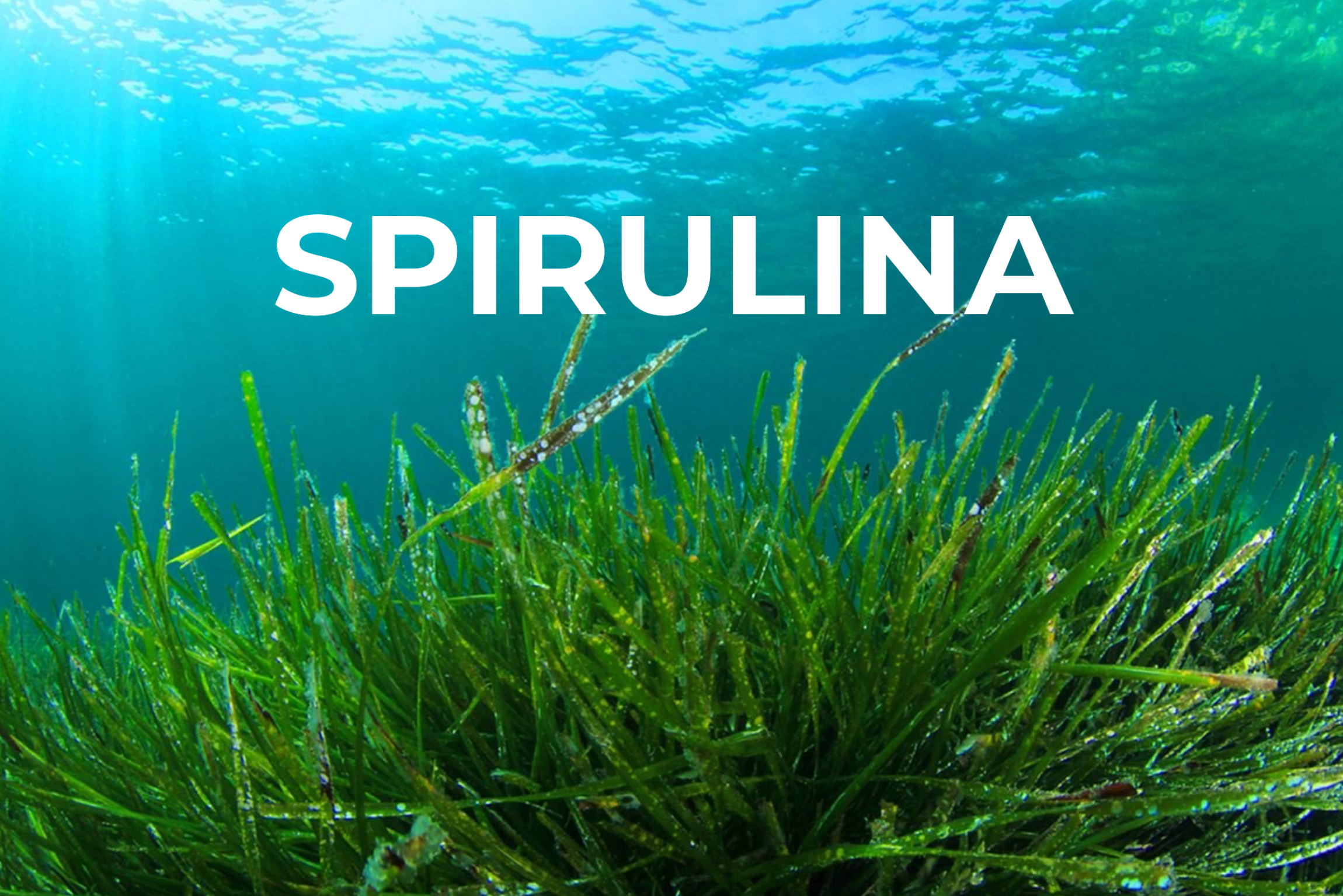 In the search for effective and gentle ingredients for skin care lotions and tanning lotions, marine bio-retinol derived from Spirulina platensis has proven to be a very successful option.