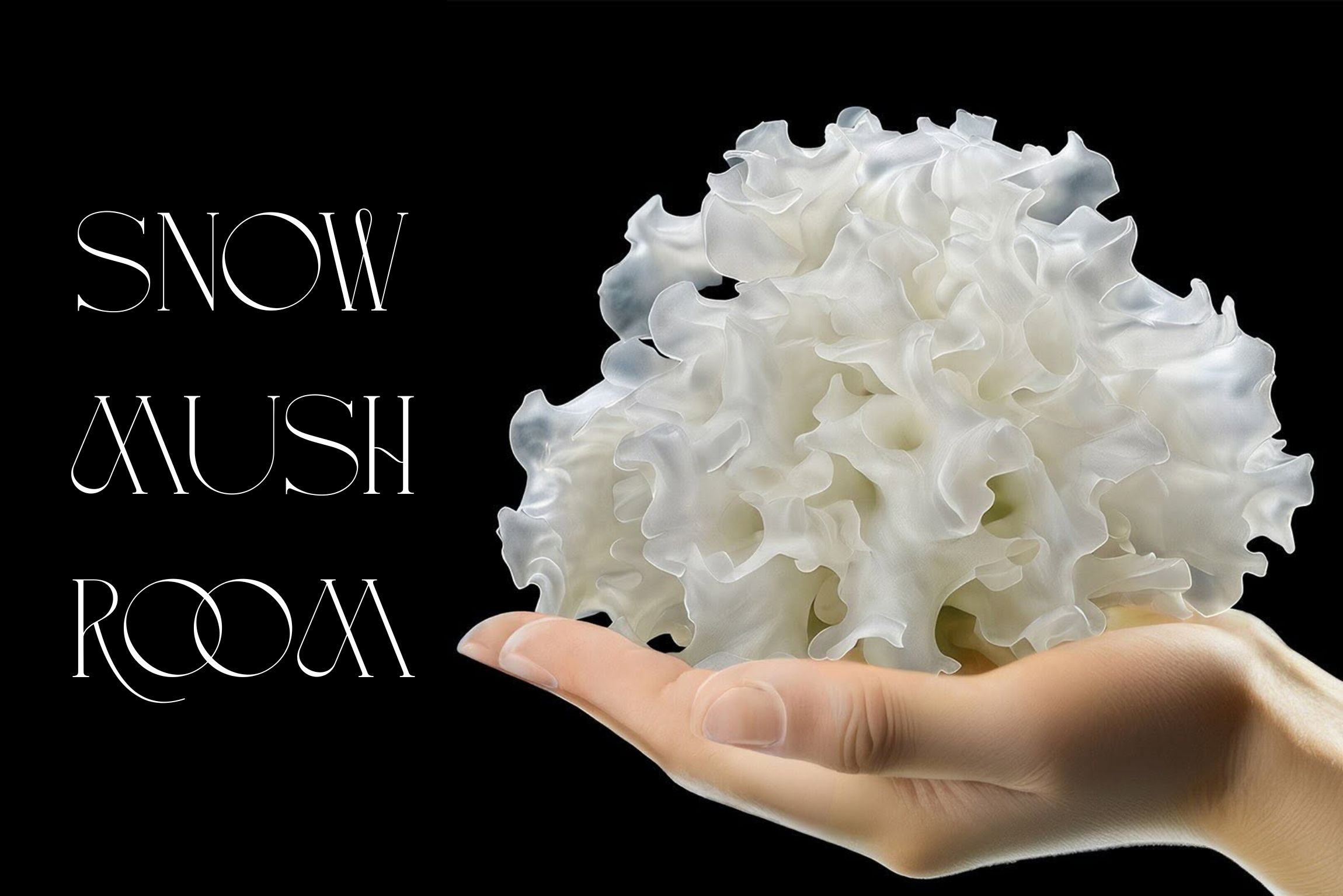 Snow mushroom is a powerful hydrator, delivering deep moisture while improving skin elasticity. Its rich polysaccharides soothe irritation, reduce redness, and promote a plump, youthful glow.